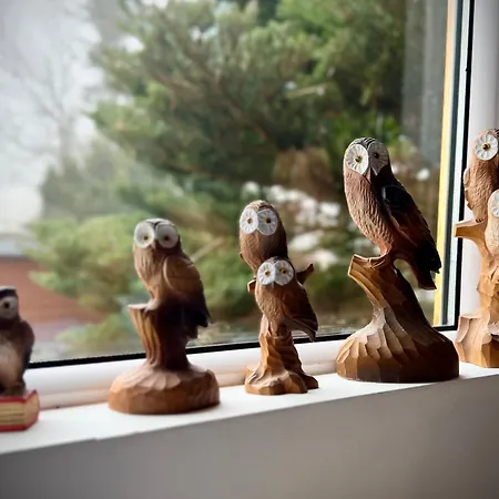 Kalinka -gory Sowie-rzeczka *