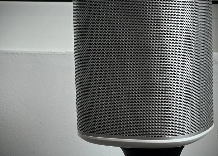 Kalinka -gory Sowie-rzeczka 別荘 *